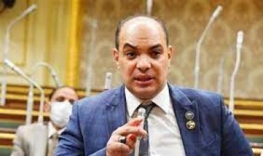 النائب علاء قريطم: نقدر جهود الشرطة المصرية في حفظ السلم والأمان