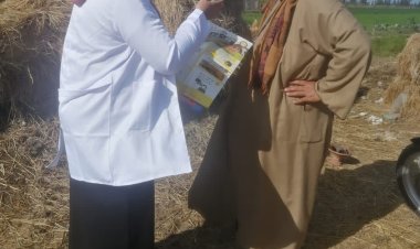 تحصين 44 ألف و 459 رأس ماشية خلال حملة الجلد العقدى وجدري الأغنام بكفر الشيخ