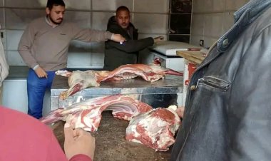 حملات مكبرة على الأسواق ومحال بيع اللحوم بالقليوبية