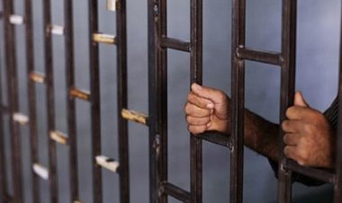 قتل زوجته ونجل عمه.. إحالة أوراق تاجر مواشي بقنا إلى المفتي