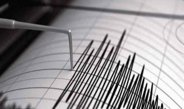 لو مش بتحس بالزلزال.. خبير نفسي: «أنت عديم المسؤولية والإحساس»
