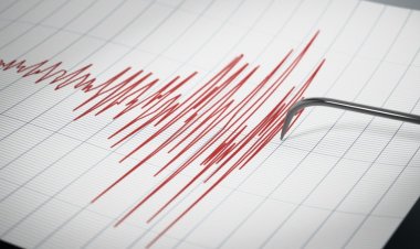 بقوة 4.2 درجة.. زلزال يضرب ساحل ماليبو بمدينة لوس أنجلوس