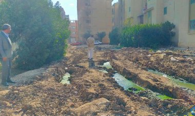 تطهير وتسليك خط الصرف الصحي في شبين القناطر