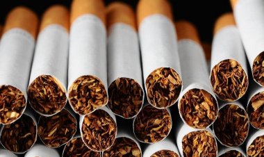 3 أشخاص يسرقون «كرتونة سجائر» ثمنها 11 ألف جنيه في بنها