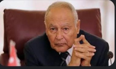 أبو الغيط يدين اقتحام مخيم جنين ويستنكر الصمت الدولي