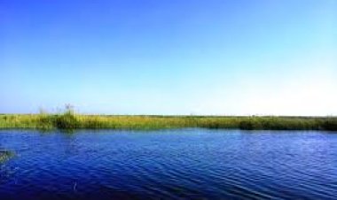 القبض على 3 أشخاص أثناء صيدهم الأسماك عن طريق الصعق بالكهرباء