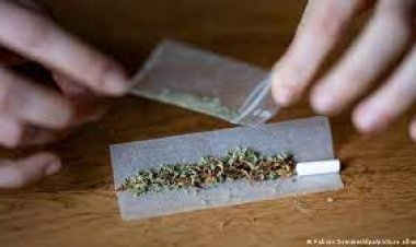 العثور على مصنع حشيش داخل منزل بالصف