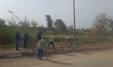 مبادرات مجتمعية بقرية كفر الجزار ببنها للتجميل والتشجير