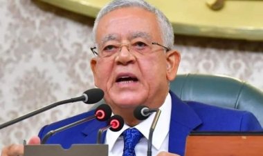 اللجنة العامة لمجلس النواب تناقش بعض الموضوعات التنظيمية