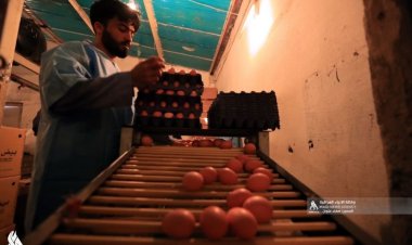 وزير التجارة يعلن ضخ كميات كبيرة من بيض المائدة والحليب والطحين بأسعار مخفضة