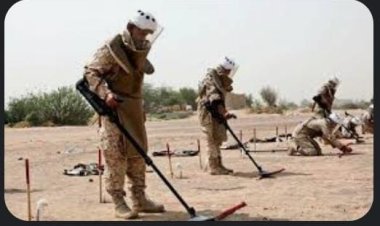 مركز الملك سلمان للإغاثة ينزع 1.081 لغمًا من اليمن خلال أسبوع