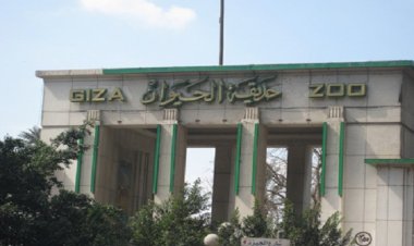  12 معلومة تكشف تفاصيل خطة تطوير حديقتي الحيوان والأورمان بالجيزة 