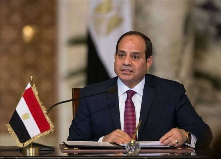 الرئيس السيسي: مصر تتطلع إلى زيادة الاستثمارات الهندية