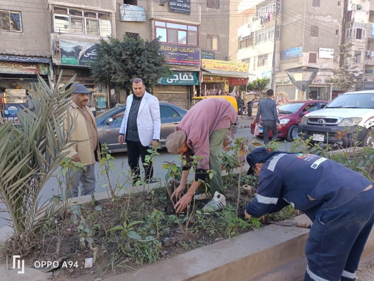 حملات لزراعة الأشجار ضمن مبادرة 100 مليون شجرة ورفع كفاءة الطرق بدسوق