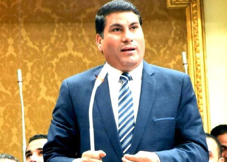 «بدر» يُطالب الحكومة بمناقشة تشجيع الاستثمار الزراعي السلعي في مصر