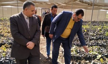 «الزراعة» تواصل متابعة رفع كفاءة الأصول التابعة لها.. وتتفقد مواقع قطاع الإنتاج بالقليوبية