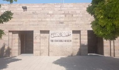 متحف التمساح بأسوان يحتفل بالذكرى 12 لافتتاحه