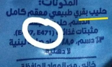 هل هناك دهن خنزير في اللبن المُعلب؟.. «العاصمة»  يحسم الجدل
