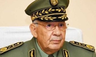 قائد أركان الجيش الجزائري يلتقي الرئيس المشارك للجنة المشتركة الجزائرية-الإماراتية المكلفة بالتعاون العسكري