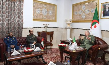 مباحثات حول التعاون العسكري بين الإمارات والجزائر