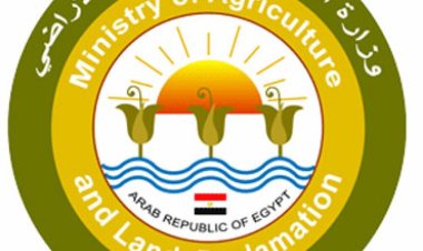 الزراعة تطمئن على القمح والمحاصيل الشتوية بمحافظتي الغربية وكفر الشيخ