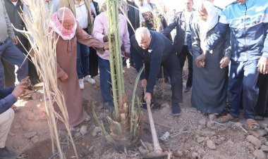 محافظ الوادي الجديد يتفقد منطقة تنيدة القديمة ببلاط