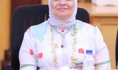 هيئة ضمان الجودة تعتمد 3 برامج بكلية الدراسات الإسلامية والعربية للبنات بجامعة الأزهر