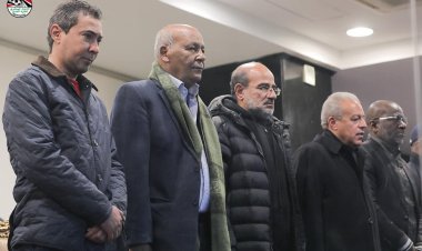 مجلس إدارة اتحاد الكرة وجهاز منتخب مصر في ودية الأوليمبي والجابون