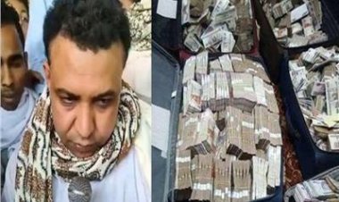 غدًا النطق بالحكم في قضية «البنك»  مستريح المواشي في أسوان