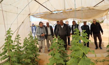 محافظ الوادي الجديد يوجّه بزيادة عدد الصوب الزراعية لاستقبال شهر رمضان