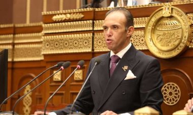 نائب التنسيقية  يدعو لتعديل قانون العقوبات لتحقيق الردع في جرائم العنف الأُسري
