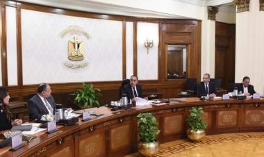 رئيس الوزراء يتابع جهود توطين صناعة التليفون المحمول في مصر