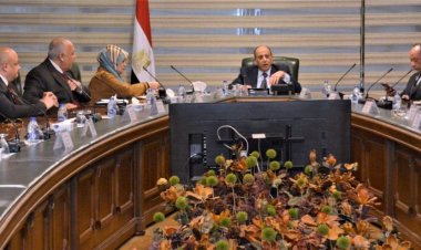 وزير الطيران يبحث آليات تعزيز دور القطاع الخاص في منظومة النقل الجوي