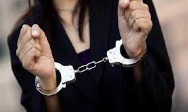 ضبط سيدة انتحلت صفة موظف رسمي للنصب على الشركات بالسلام