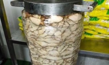 ضبط  طن لحوم دجاج فاسدة داخل مطعم شهير بحلوان