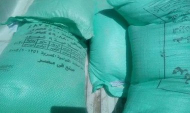 سرق جوال دقيق بالإكراه.. السجن 3 أعوام لعامل في قنا