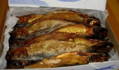 بعد تناولهم رنجة فاسدة.. إصابة 4 أشخاص بالتسمم  في إمبابة