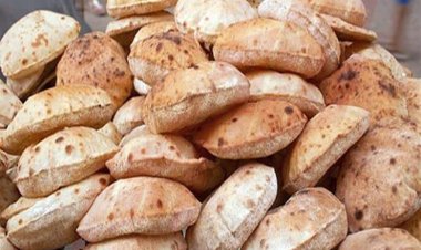 موعد تطبيق منظومة شراء الخبز بـ«الفيزا»