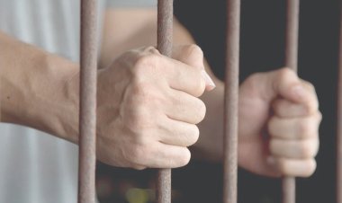 أخفى عن زوجته الأولى زواجه من اثنين غيرها.. حبس طبيب مشهور 6 أشهر بالغربية