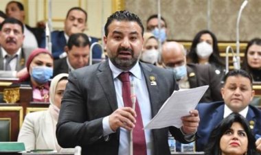 نائب بـ«حقوق إنسان» النواب: الإفراج عن المحبوسين يؤكد أننا نعيش أزهى عصور الديمقراطية