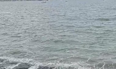 تغير لون مياه البحر.. هل أثر زلزال تركيا على الإسكندرية؟