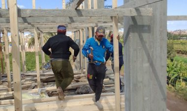 إزالة تعديات على الأراضى ووقف بناء مخالف بمطوبس وفوه وكفر الشيخ