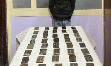 ضبط 490 طربة حشيش بحوزة 3 عناصر إجرامية في الإسكندرية