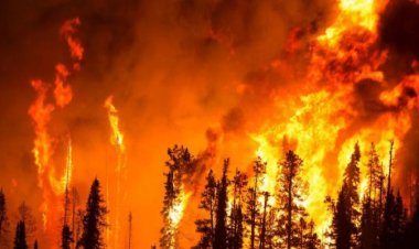 العلماء يتوقعون زيادة حرائق الغابات وتلوث الهواء.. «حياة البشر مهددة بتغير الطقس»