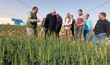 محافظ الوادي الجديد يتفقد مشروع استثمار زراعي وإنتاج حيواني على مساحة ١٥٠ فدان