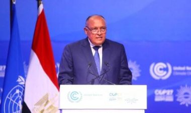 شكري: مصر متمسكة بمراعاة حقوق الشعب الإثيوبي لكن ليس على حساب المصريين