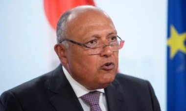 وزير الخارجية يفتتح المؤتمر السنوي للمجلس المصري للشئون الخارجية