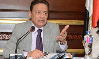 الأعلى للإعلام: مصر بذلت جهود في مجال حقوق الإنسان تستحق إلقاء الضوء عليها