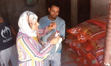 تحصين 148ألف و951  رأس ماشية في كفر الشيخ