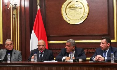وزير قطاع الأعمال أمام «النواب» : ادخال صناعات جديدة لتقليل الاستيراد